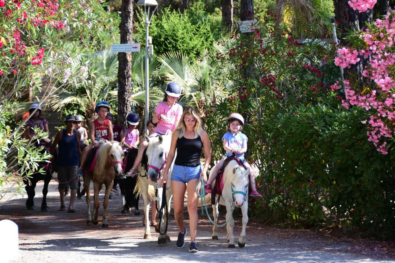Camping La Baume La Palmeraie 5* Frejus